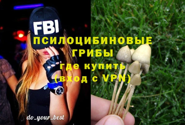 мескалин Медногорск