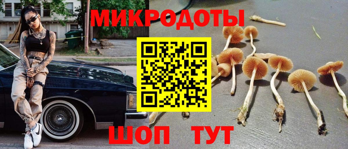 Псилоцибиновые грибы MAGIC MUSHROOMS Саранск