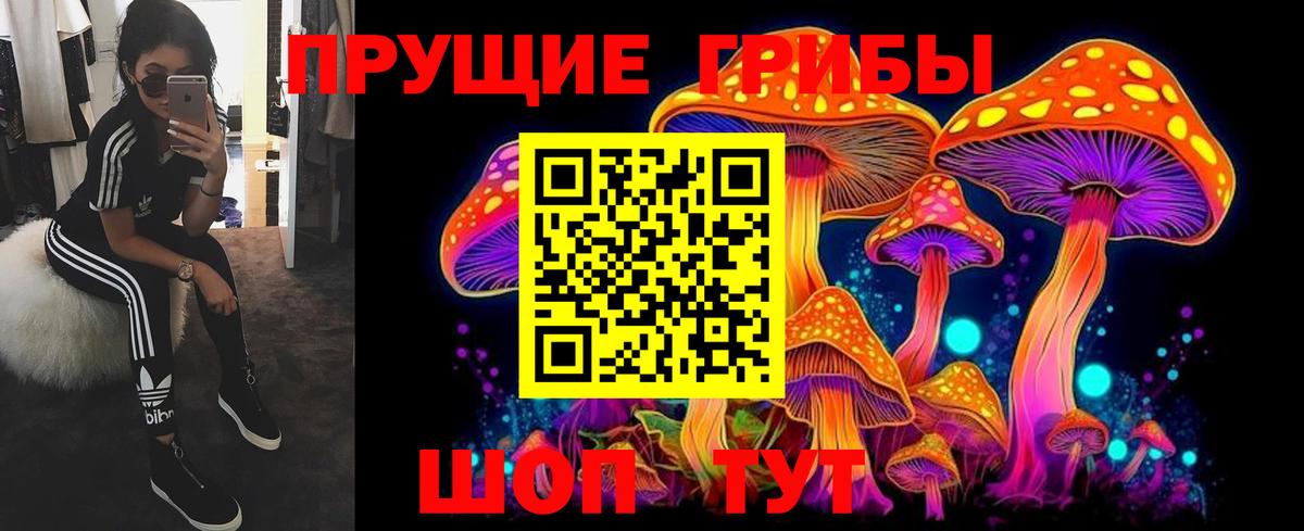 Псилоцибиновые грибы MAGIC MUSHROOMS  цена наркотик  Псилоцибиновые грибы MAGIC MUSHROOMS  Саранск  Вход с VPN 